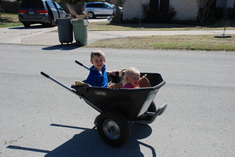 2010-03-14-Sydney Ian Wheelbarrow-5.jpg